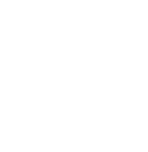 Shrigoda Insurance Brokers Limited Logo